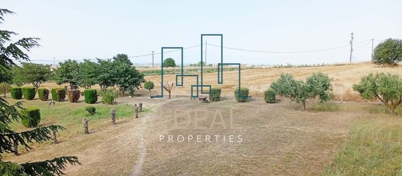 Haus · Foto 51