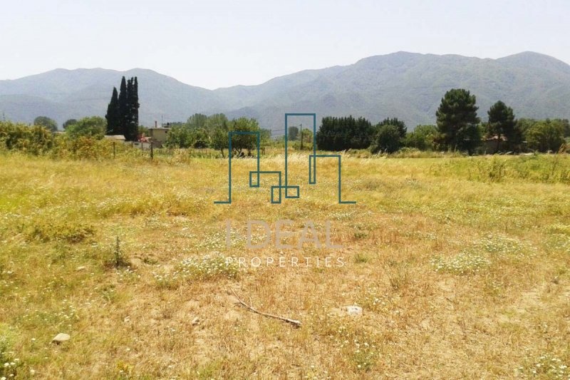 Landwirtschaft in Agia Triada · Foto 4
