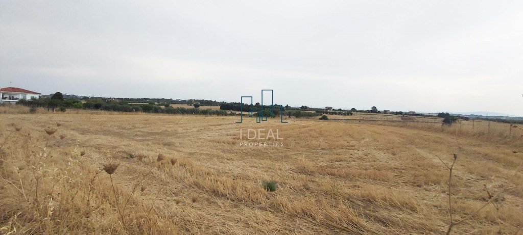 Poljoprivredna zemlja na prodaju Epanomi - poljoprivredna zemlja U Epanomi · fotografija 7