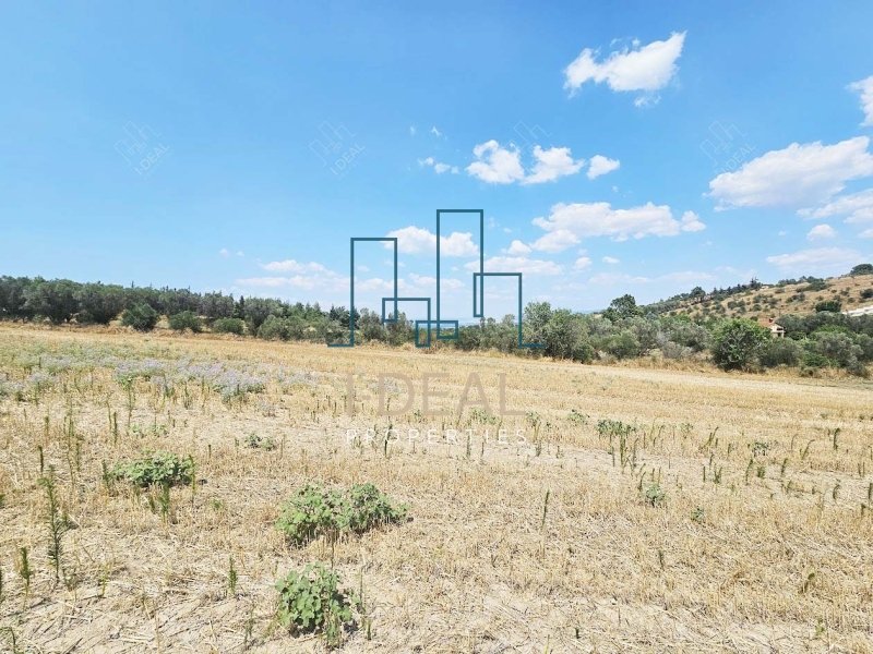 Agrarland · Foto 2