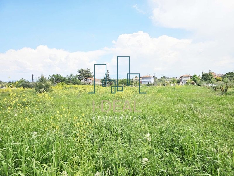 Agrarland · Foto 22