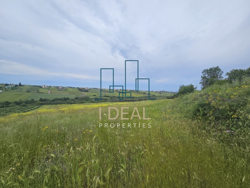 Plac u Gornjoj Perei · fotografija 2