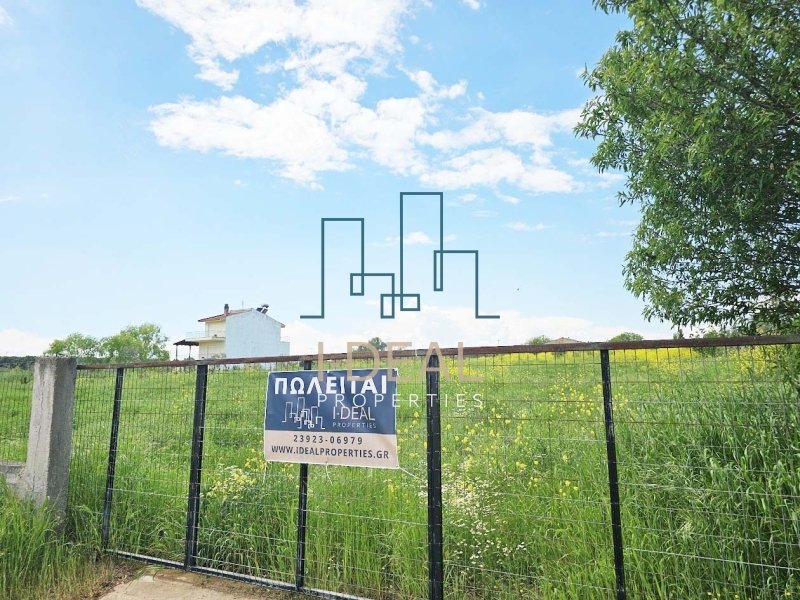 Agrarland · Foto 5