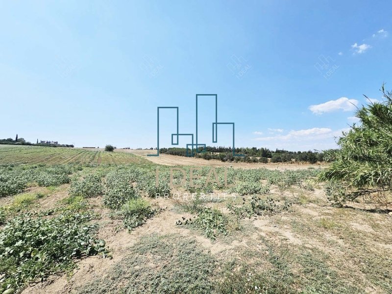 Agrarland · Foto 7