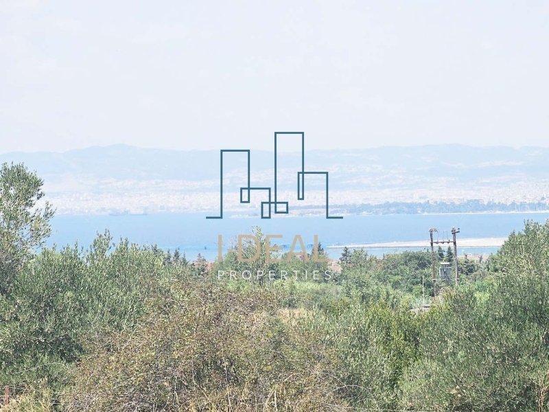 Agrarland · Foto 3