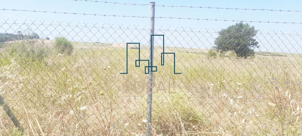 Poljoprivredna zemlja na prodaju Neoi Epivatis (Thermaikos) - poljoprivredna zemlja IN neoi epiva · fotografija 2