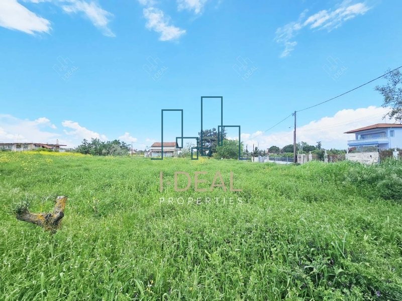 Agrarland · Foto 11