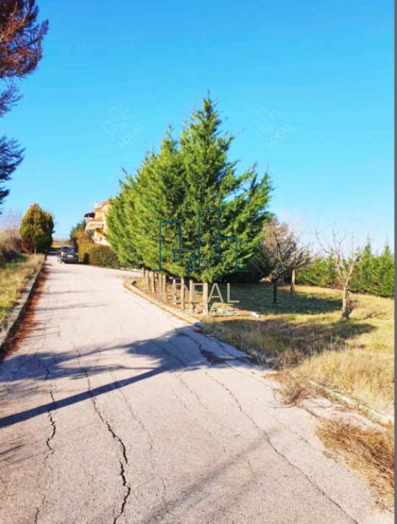 Luxus-Villa auf einem Grundstück mit Panoramablick auf das Meer | Ano Peraia, Thessaloniki · Foto 12