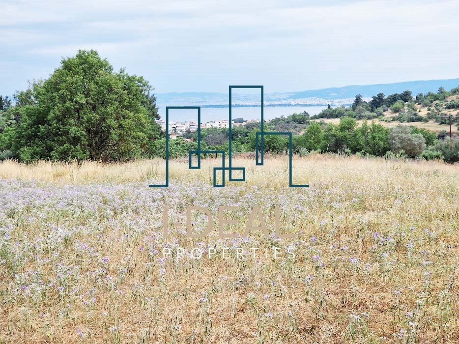 Poljoprivredna zemlja na prodaju Perea (Thermaikos) - poljoprivredna zemlja U Perea · fotografija 19