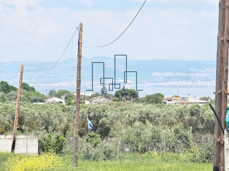 Agrarland · Foto 21