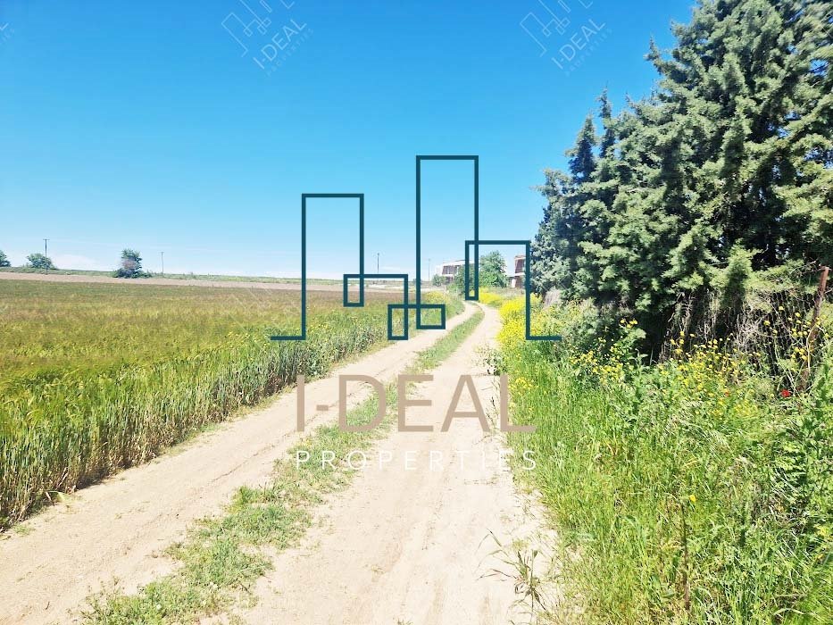 Poljoprivredna zemlja na prodaju Epanomi - poljoprivredna zemlja U Epanomi · fotografija 8