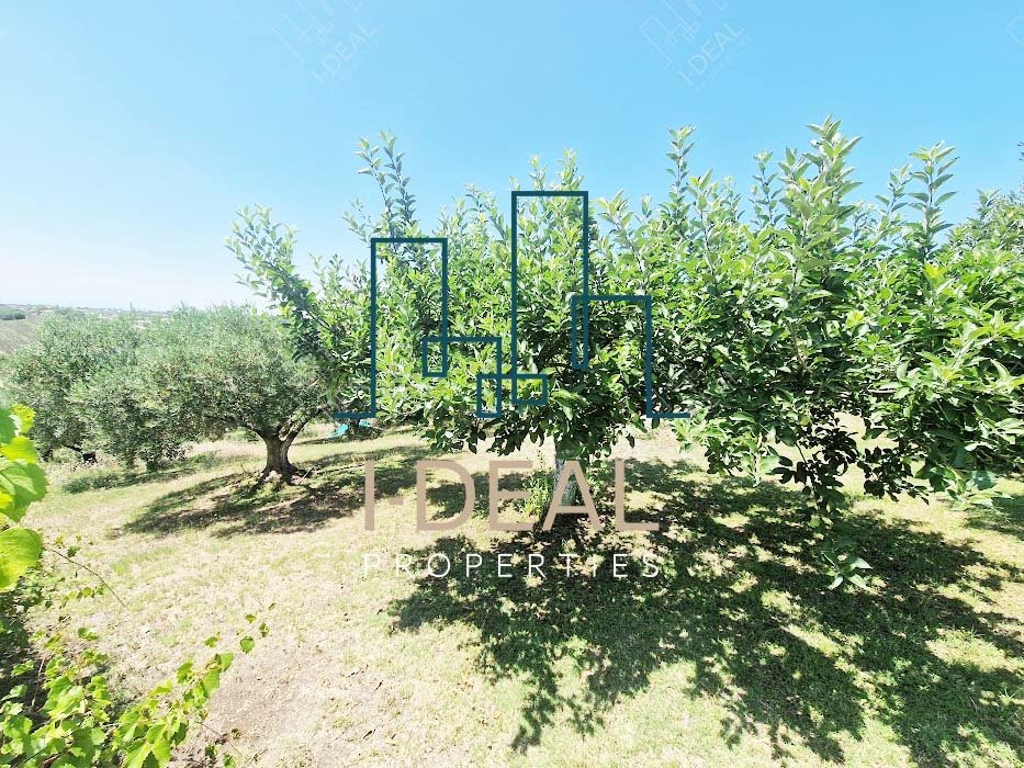 Landwirtschaftliches Grundstück zu verkaufen Agia Triada (Thermaikos) - Landwirtschaftliches Grundstück IN agia triada 1 · Foto 15