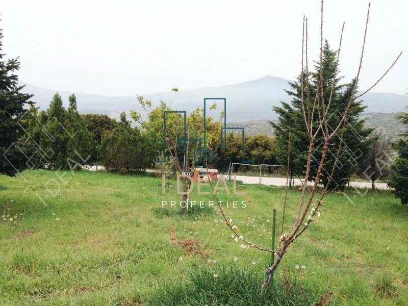 Izgradnja zemljišta sa građevinskom dozvolom u Peristeri, Vasilika