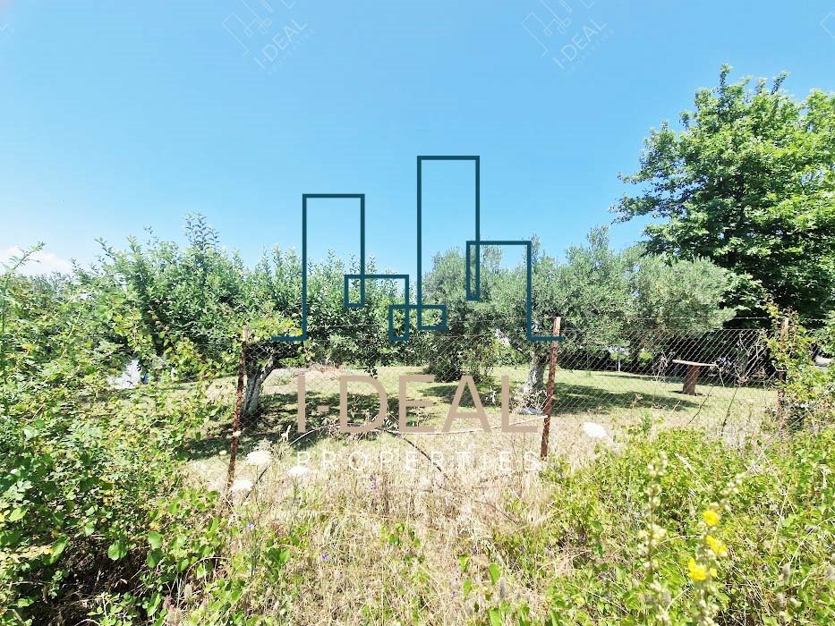 Landwirtschaftliches Grundstück zu verkaufen Agia Triada (Thermaikos) - Landwirtschaftliches Grundstück IN agia triada 1 · Foto 4