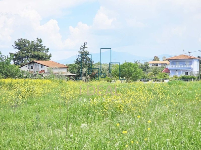 Agrarland · Foto 20