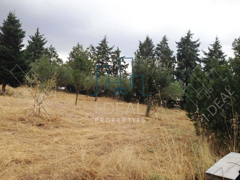 Izgradnja zemljišta sa građevinskom dozvolom u Peristeri, Vasilika · fotografija 5