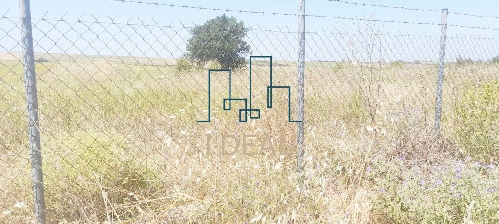 Poljoprivredna zemlja na prodaju Neoi Epivatis (Thermaikos) - poljoprivredna zemlja IN neoi epiva · fotografija 3