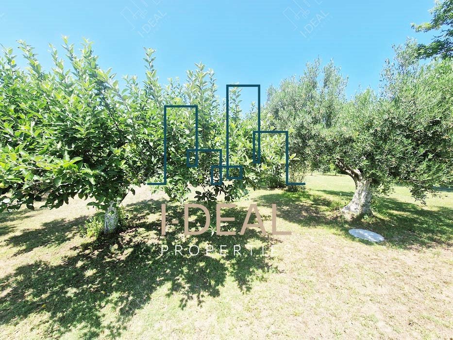 Landwirtschaftliches Grundstück zu verkaufen Agia Triada (Thermaikos) - Landwirtschaftliches Grundstück IN agia triada 1 · Foto 14