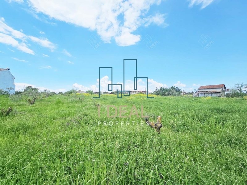 Agrarland · Foto 14