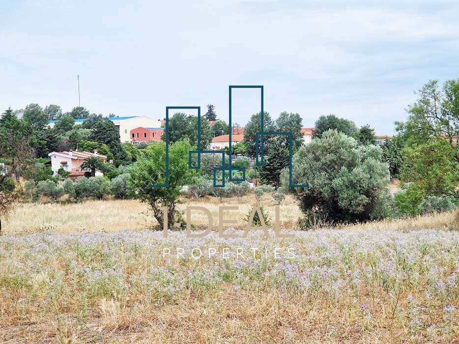 Poljoprivredna zemlja na prodaju Perea (Thermaikos) - poljoprivredna zemlja U Perea · fotografija 8