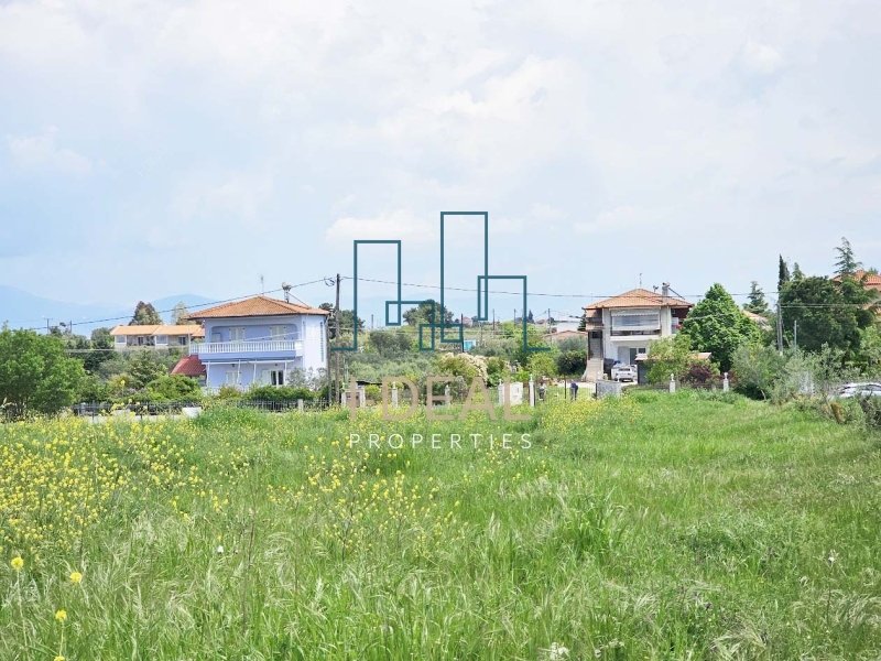 Agrarland · Foto 17