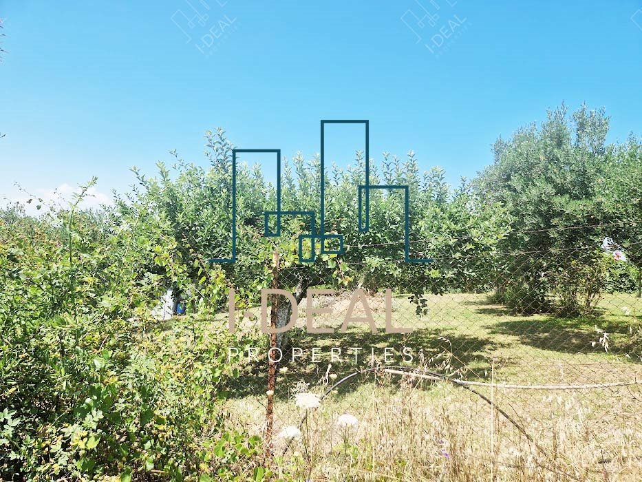 Landwirtschaftliches Grundstück zu verkaufen Agia Triada (Thermaikos) - Landwirtschaftliches Grundstück IN agia triada 1 · Foto 13