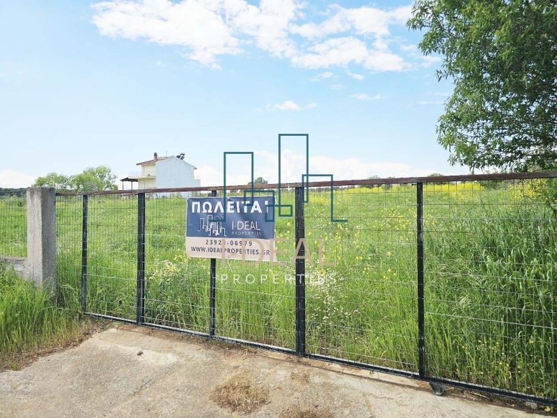 Agrarland · Foto 3