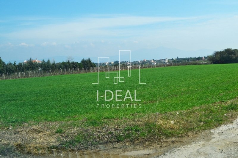 Zemljoradna zemlja | Solunski suburbi/Michaniona · fotografija 13