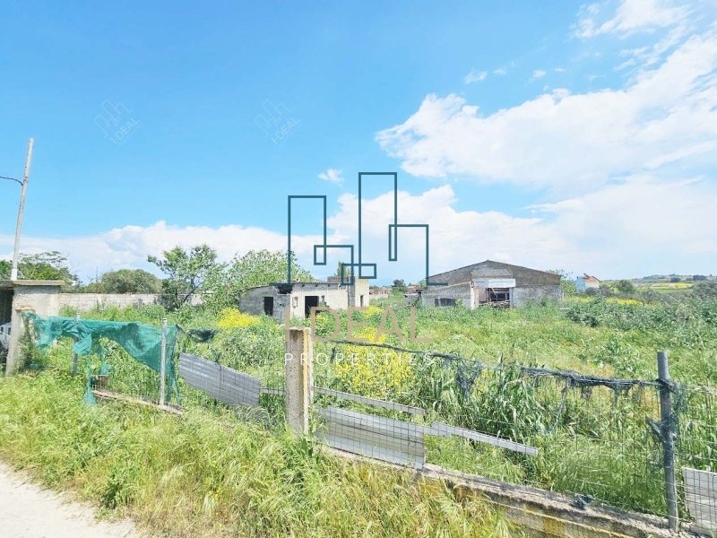 Agrarland · Foto 19