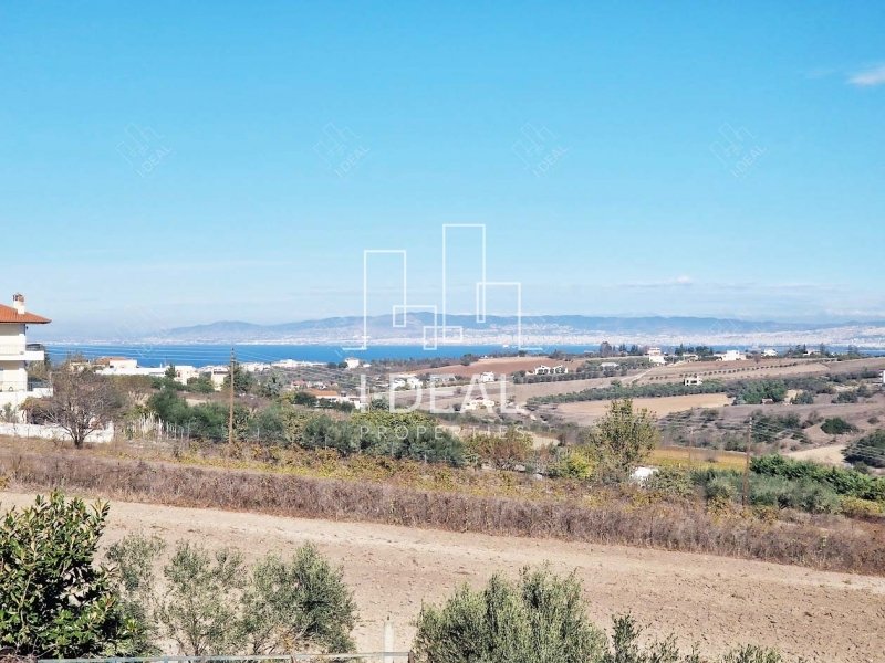 Kuća na prodaju u Thermaikosu Neoi Epivatesu · fotografija 32