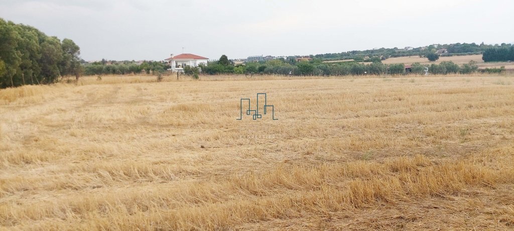 Poljoprivredna zemlja na prodaju Epanomi - poljoprivredna zemlja U Epanomi · fotografija 2