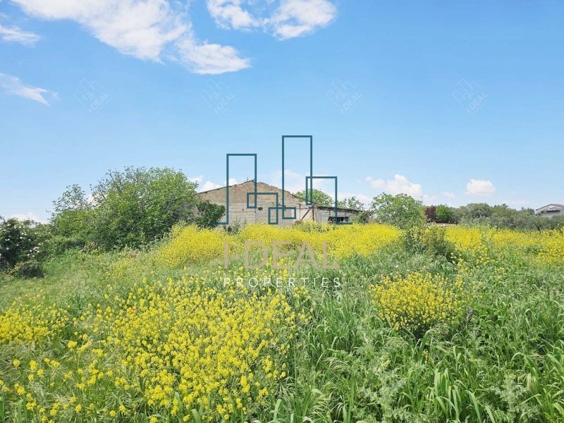 Agrarland · Foto 16
