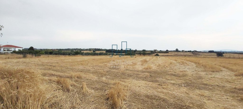 Poljoprivredna zemlja na prodaju Epanomi - poljoprivredna zemlja U Epanomi · fotografija 11