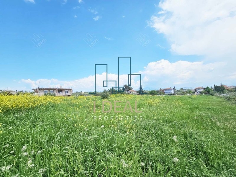 Agrarland · Foto 15