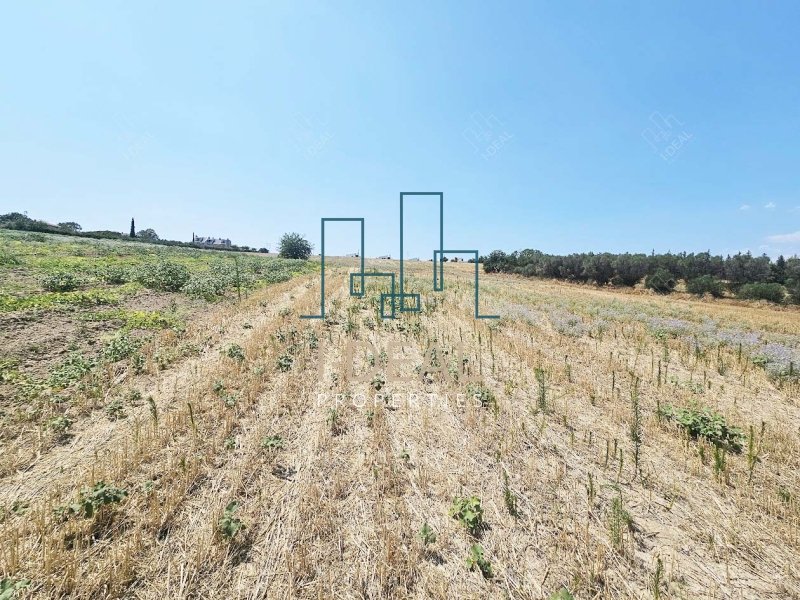 Agrarland · Foto 6