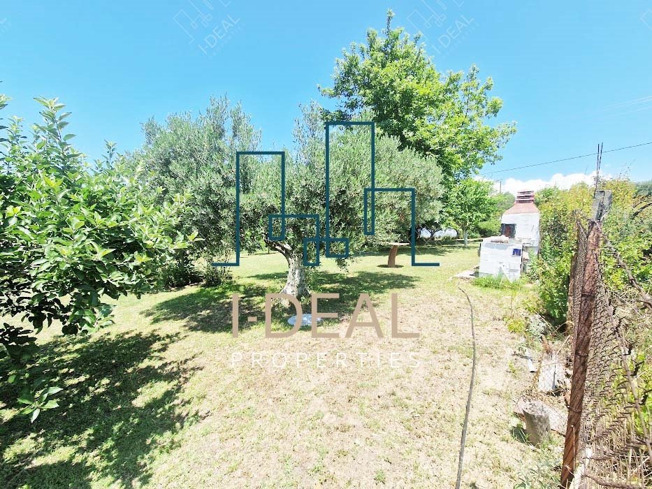 Landwirtschaftliches Grundstück zu verkaufen Agia Triada (Thermaikos) - Landwirtschaftliches Grundstück IN agia triada 1 · Foto 16