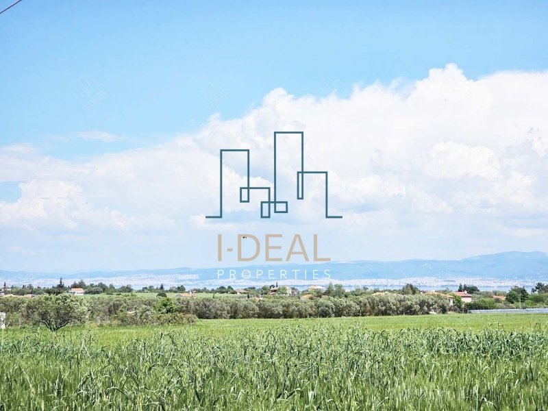 Agrarland · Foto 18