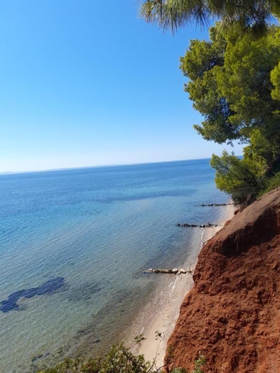 Hotel na prodaju – Sitonija, Paralija Nikitis · fotografija 16