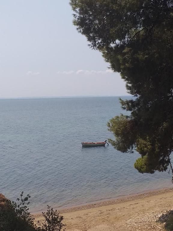 Hotel na prodaju – Sitonija, Paralija Nikitis · fotografija 9