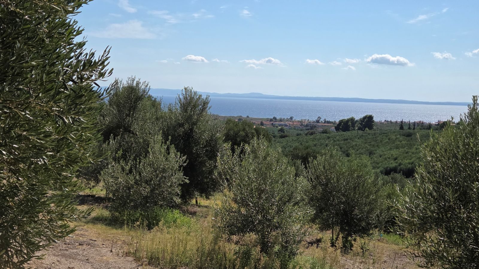 Poljoprivredno zemljište na prodaju – Ormilija, Psakudija