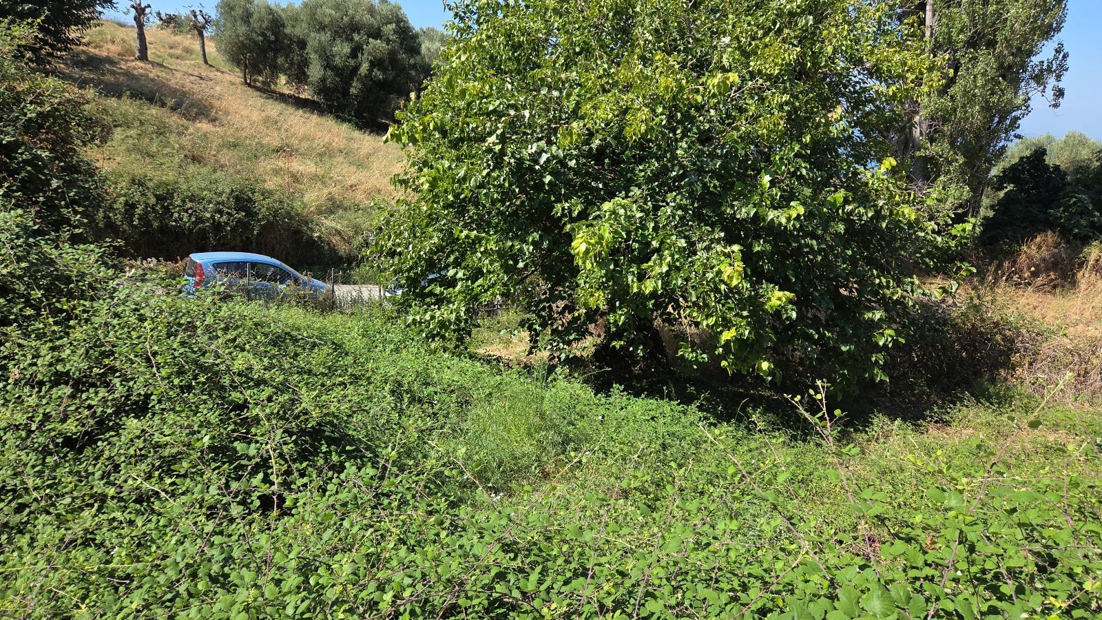 Plac na prodaju – Sitonija, Partenonas · fotografija 6