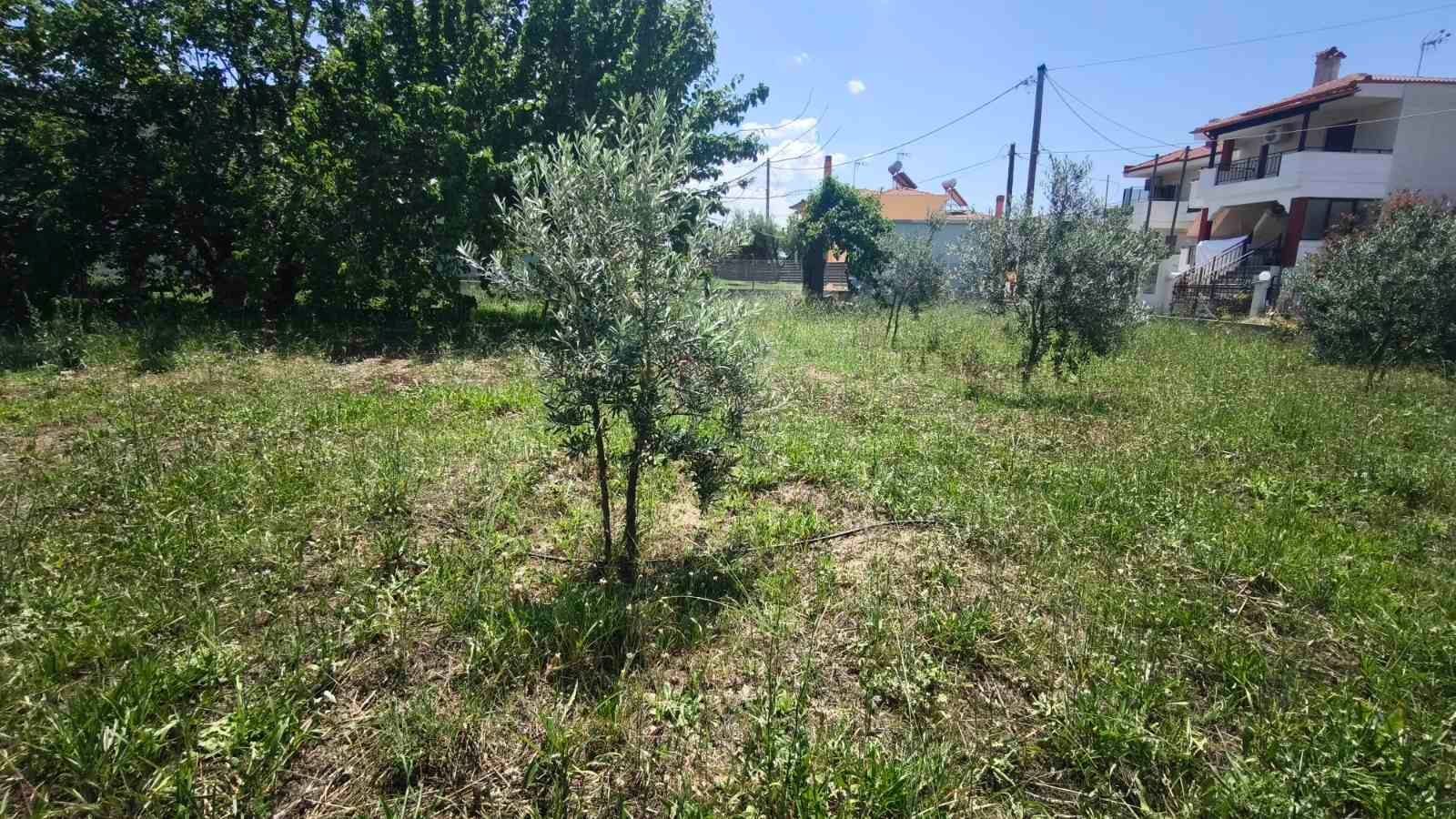 Samostalna kuća na prodaju – Sitonija, Paralija Nikitis · fotografija 10