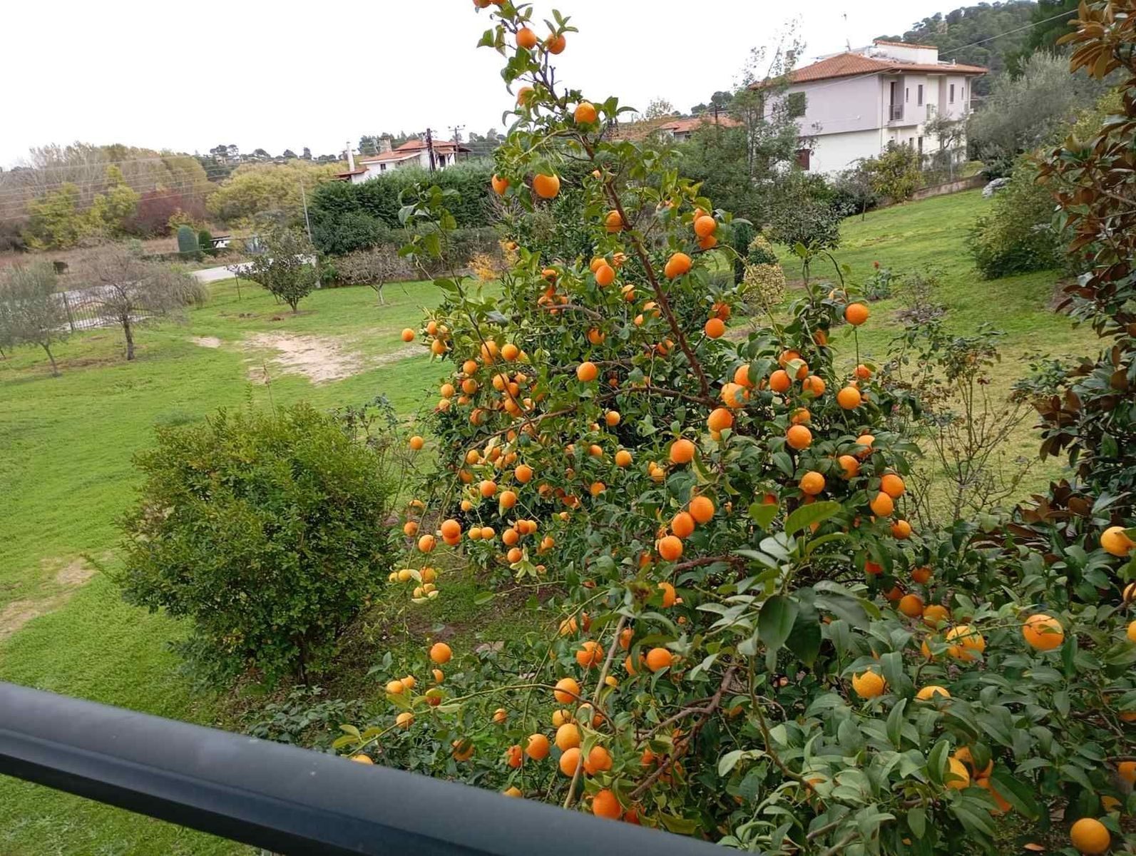 Freistehendes Haus zum Verkauf – Sithonia, Galini · Foto 8