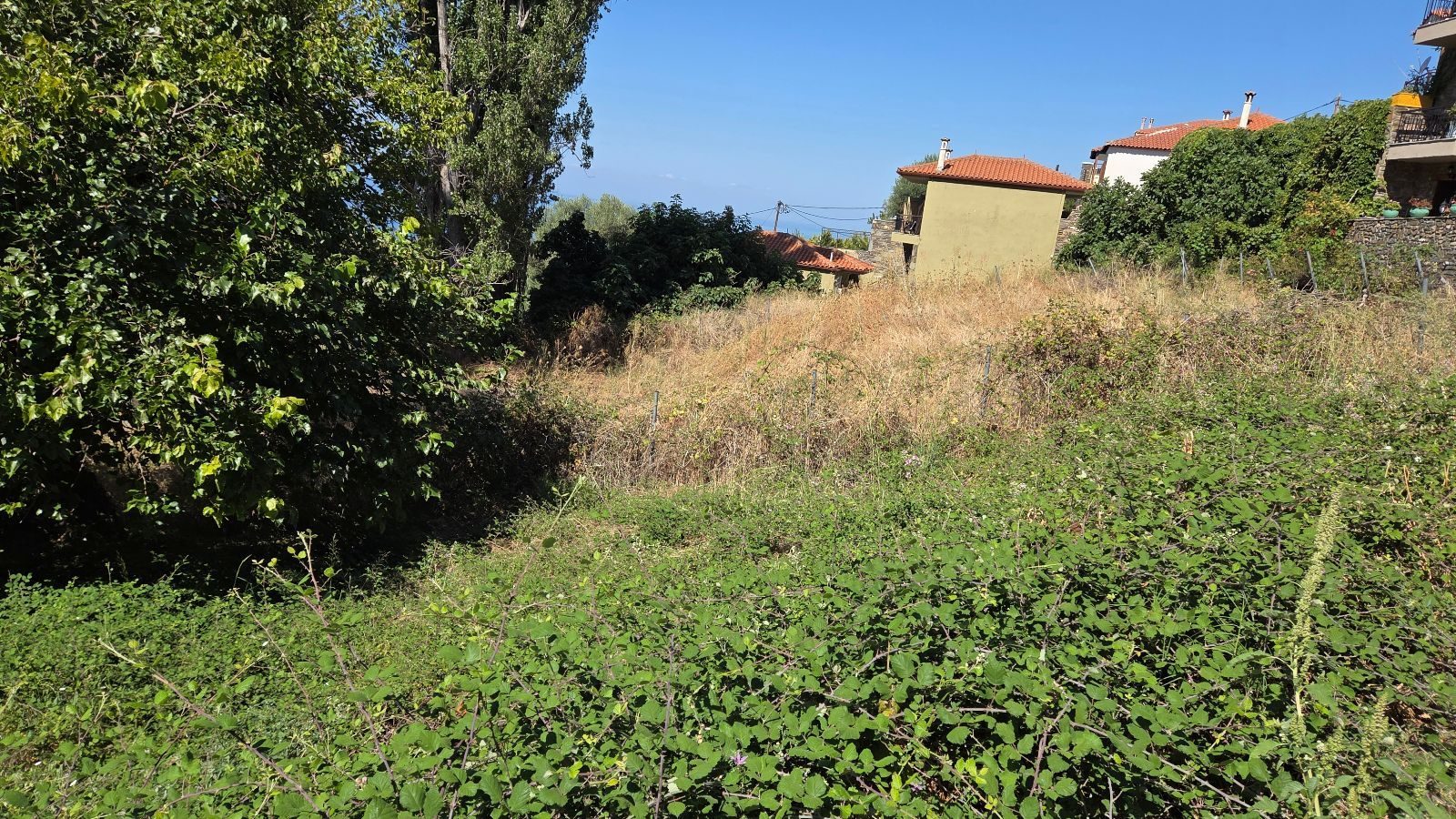 Plac na prodaju – Sitonija, Partenonas · fotografija 5