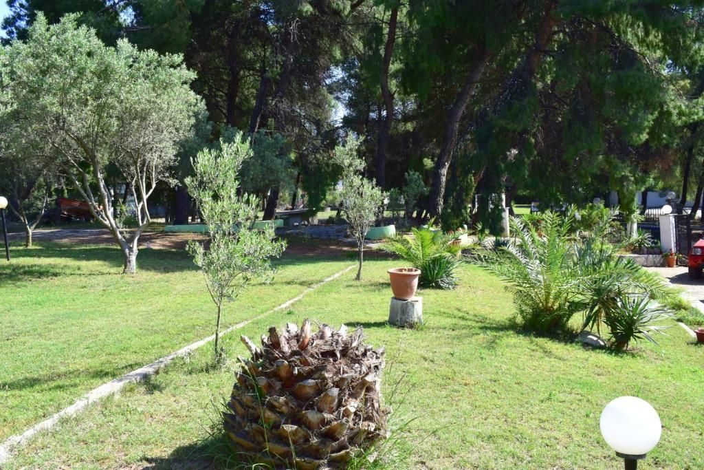 Hotel na prodaju – Sitonija, Paralija Nikitis · fotografija 6