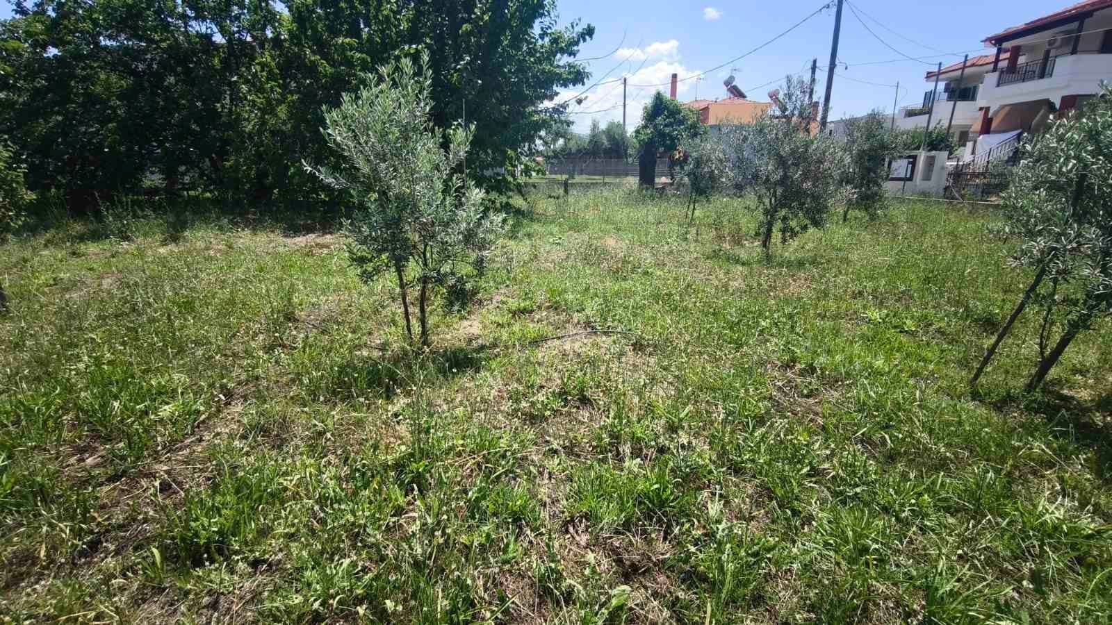 Samostalna kuća na prodaju – Sitonija, Paralija Nikitis · fotografija 14