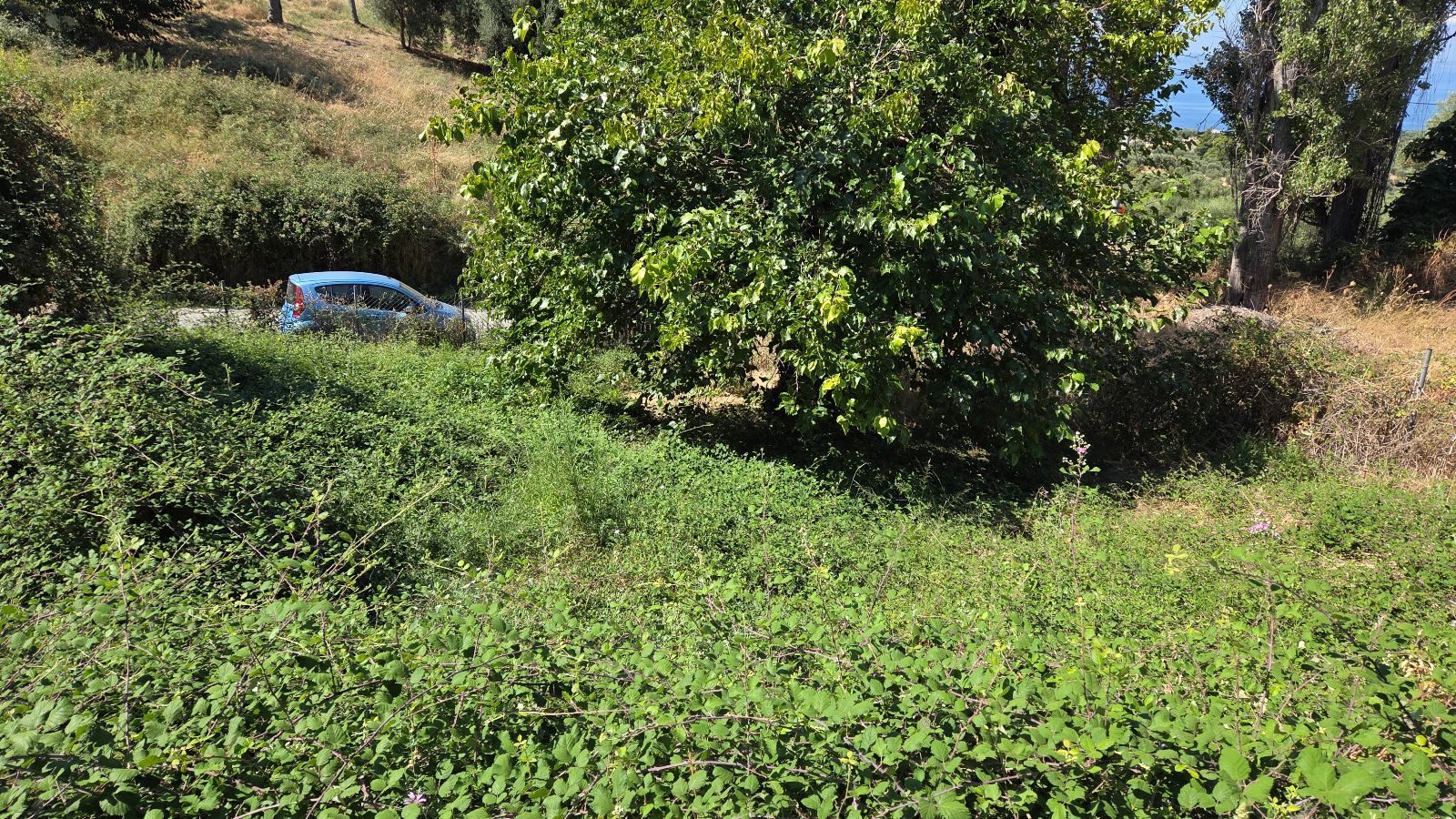 Plac na prodaju – Sitonija, Partenonas · fotografija 2