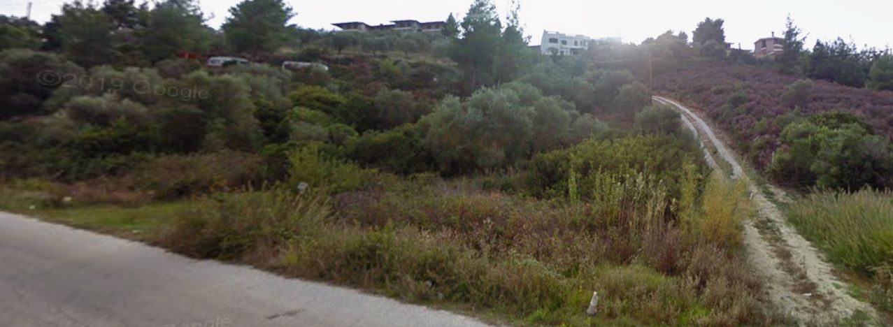 Poljoprivredno zemljište na prodaju – Sitonija, Vurvuru · fotografija 4