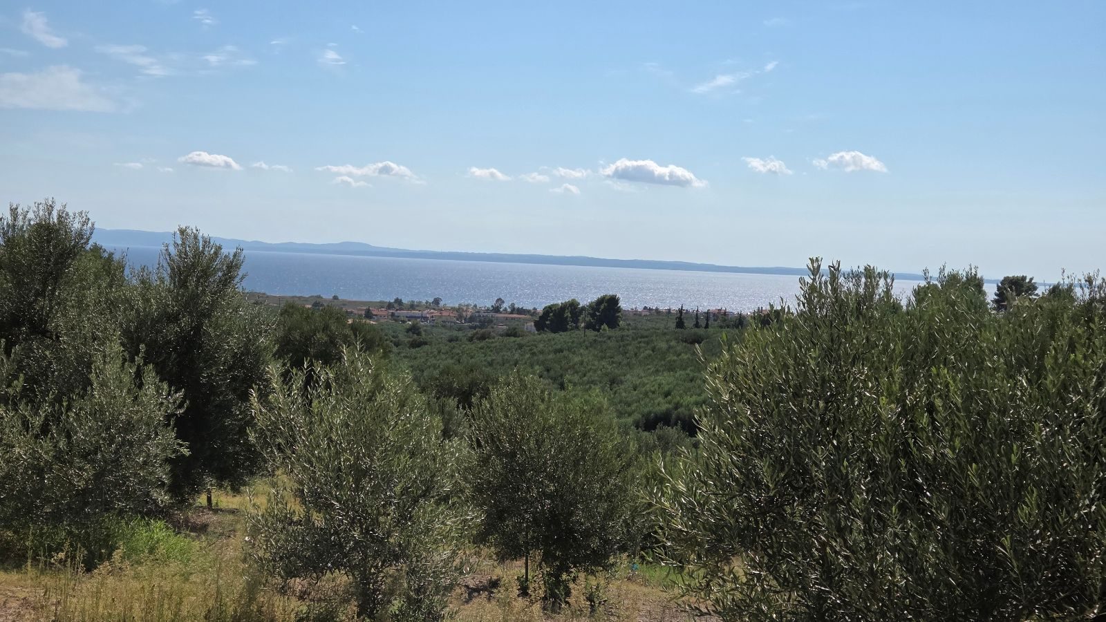 Poljoprivredno zemljište na prodaju – Ormilija, Psakudija · fotografija 2