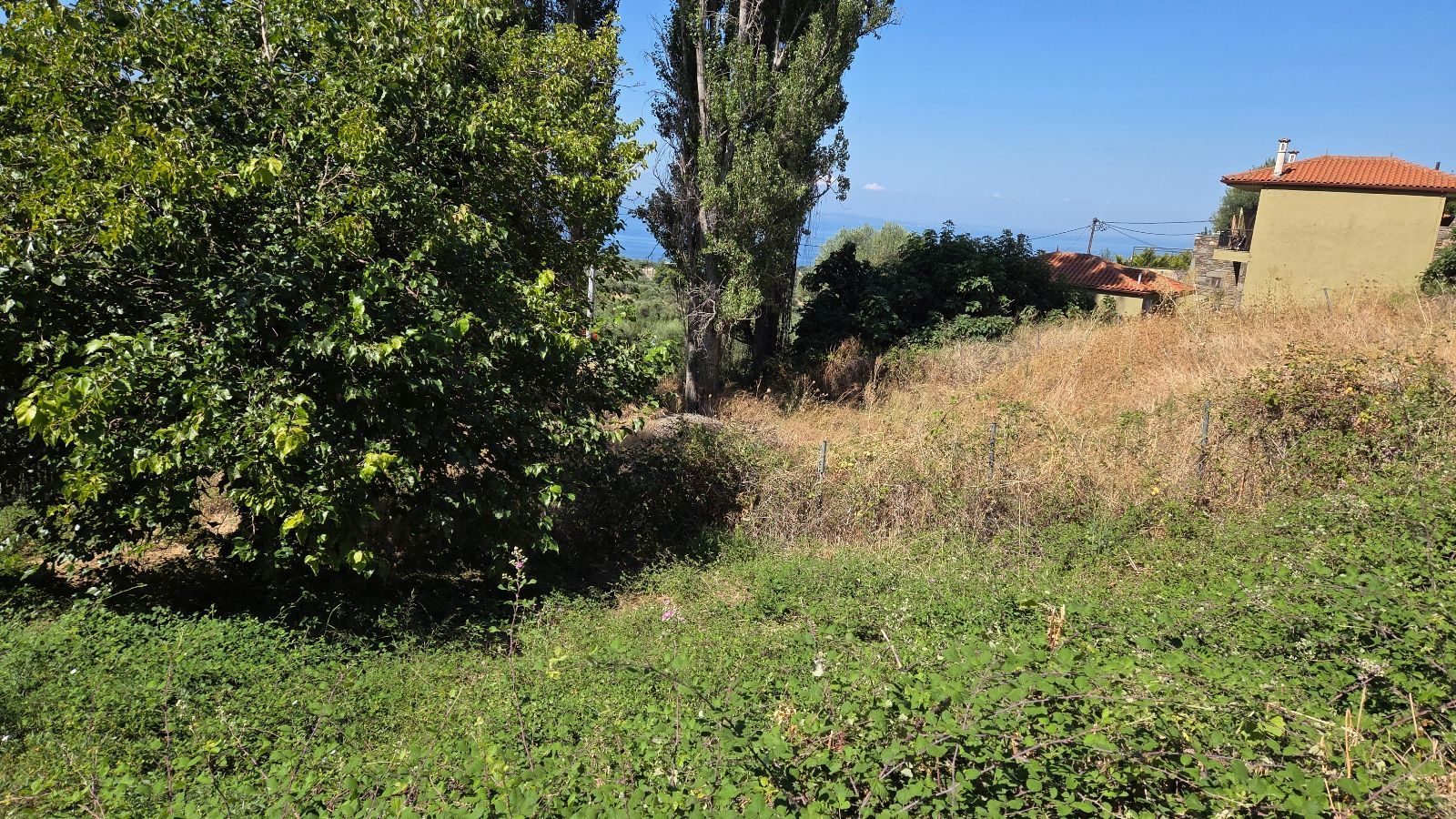Plac na prodaju – Sitonija, Partenonas · fotografija 3
